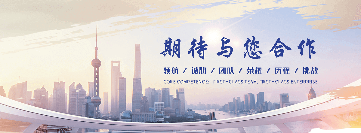 申扎优化公司哪家好